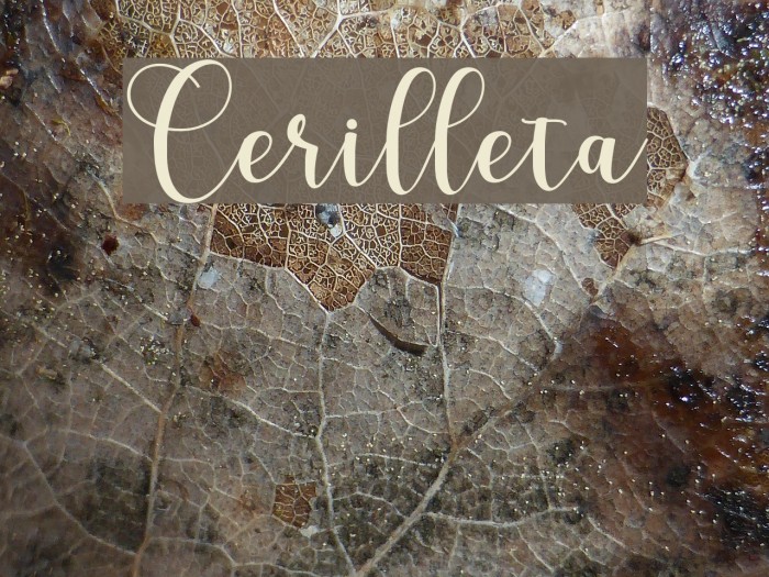 Cerilleta Font examples