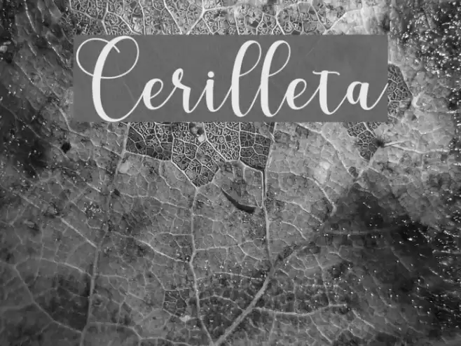 Cerilleta Font examples