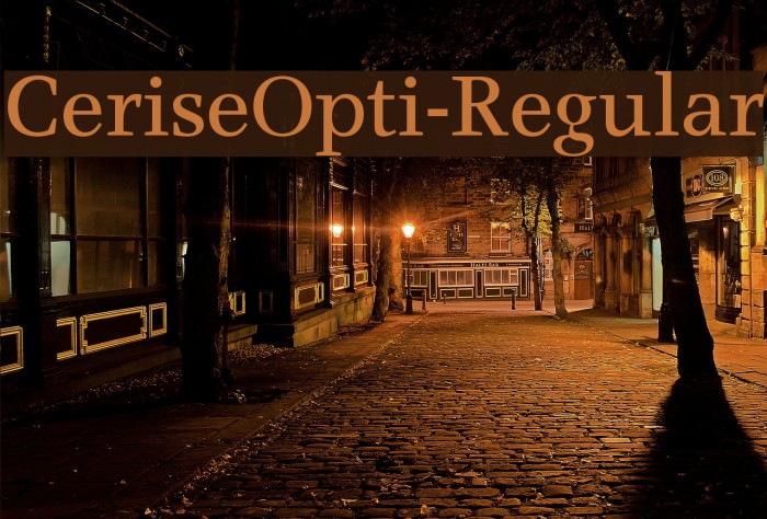 CeriseOpti-Regular Font examples