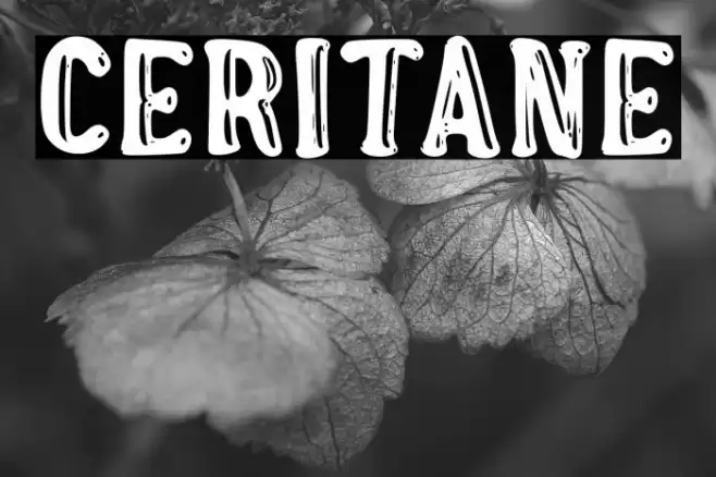 Ceritane Font examples