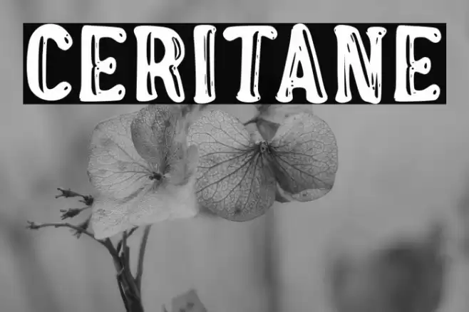 Ceritane Font examples