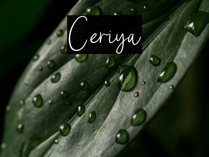 Ceriya Example 2