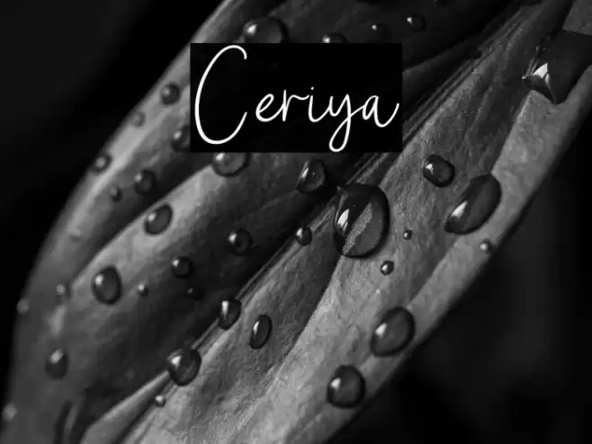 Ceriya Font examples