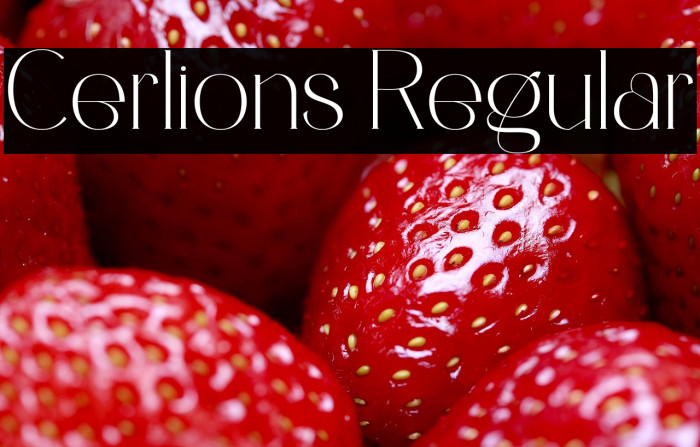 Cerlions Regular Example 1