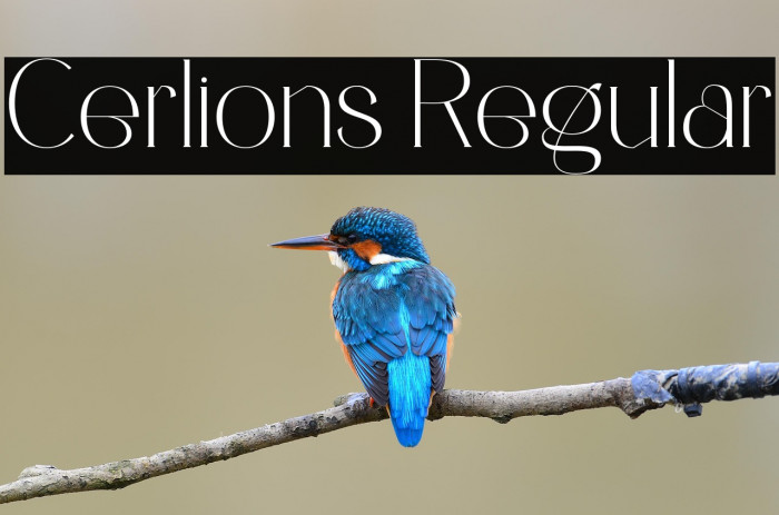 Cerlions Regular Example 2