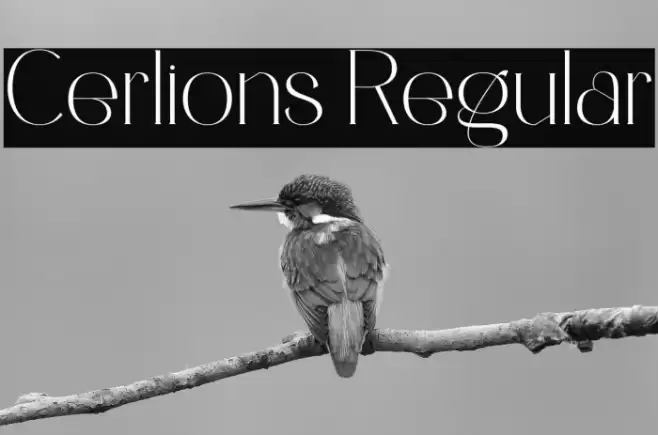 Cerlions Regular Font examples