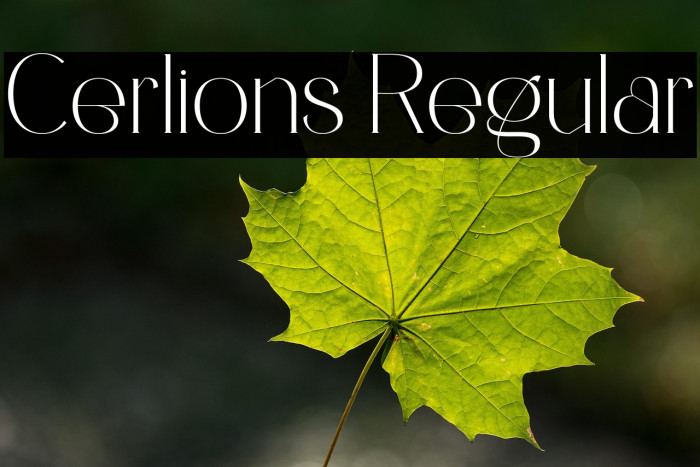 Cerlions Regular Example 3