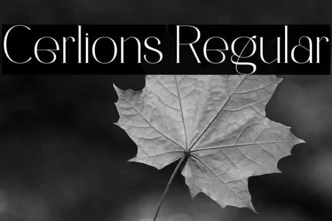Cerlions Regular Font examples