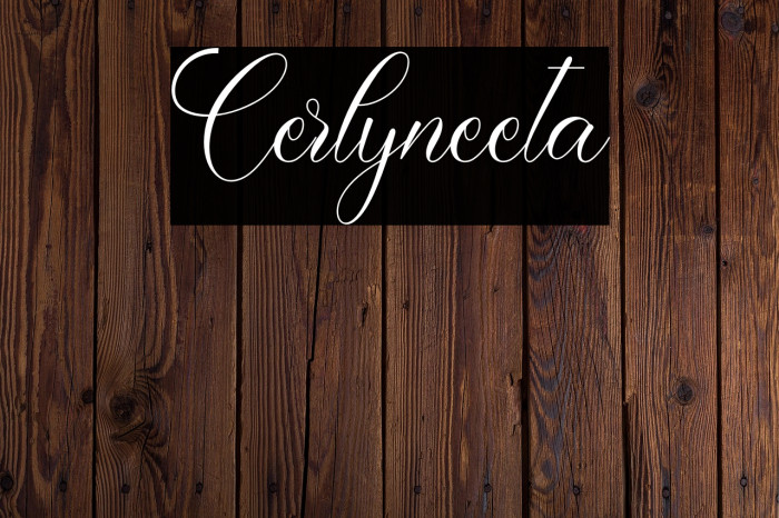 Cerlyneeta Example 1