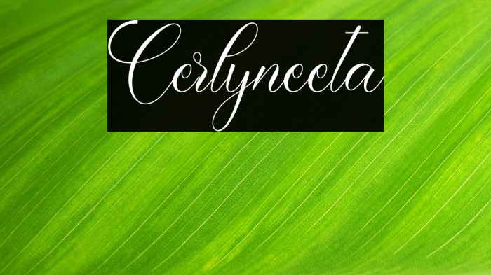 Cerlyneeta Example 2