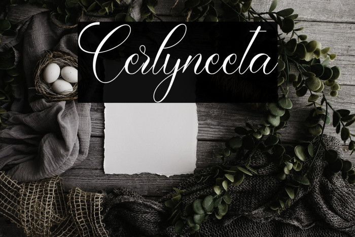 Cerlyneeta Example 3