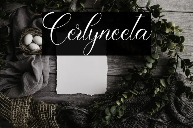 Cerlyneeta Example 3