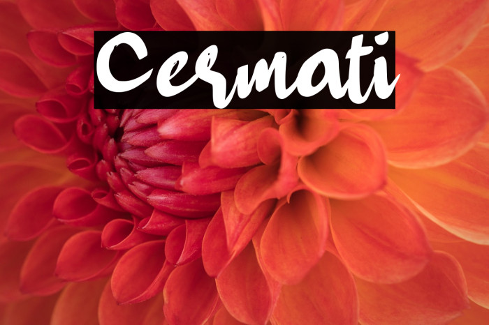 Cermati Example 2