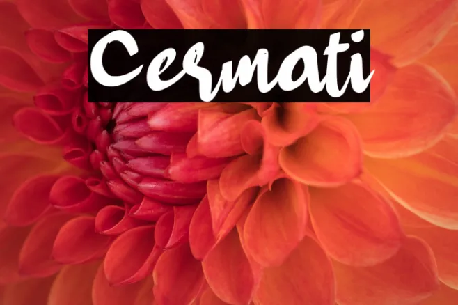Cermati Example 2