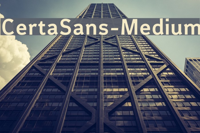 CertaSans-Medium Font examples