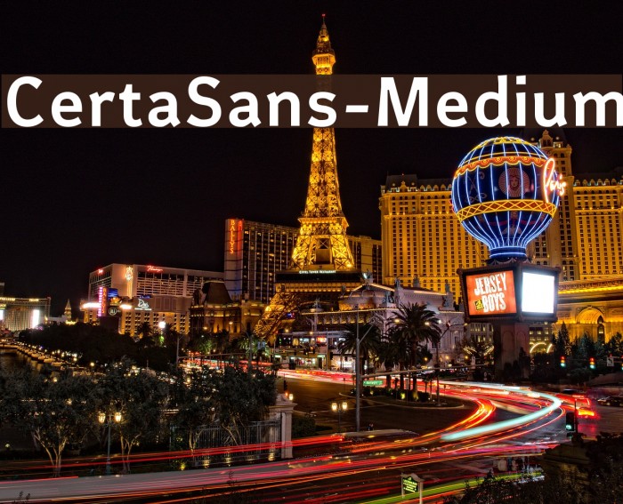 CertaSans-Medium Font examples