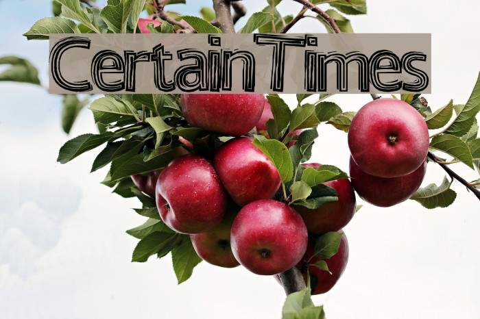 CertainTimes Font examples