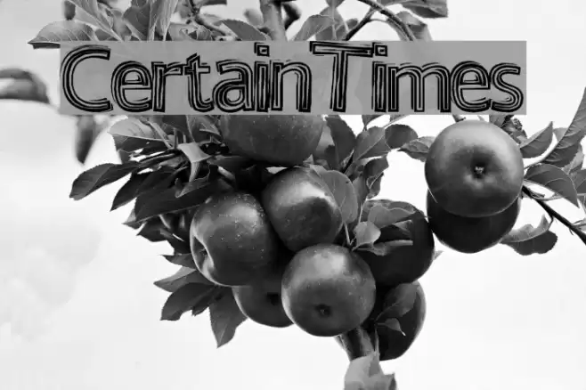 CertainTimes Fonte examples