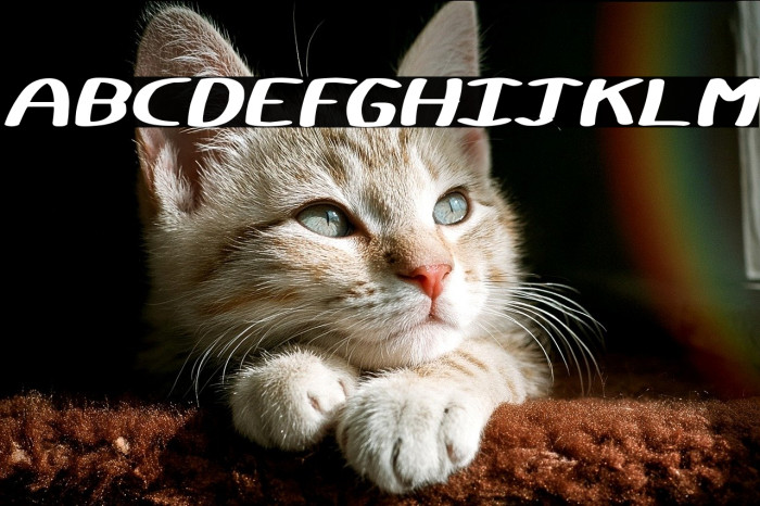 Certainly Italic Example 3