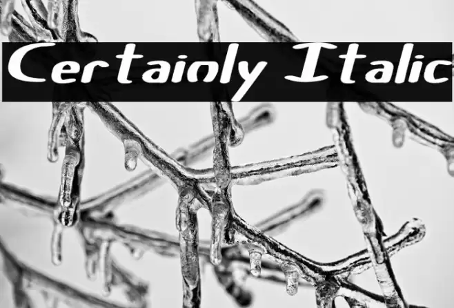 Certainly Italic Font examples
