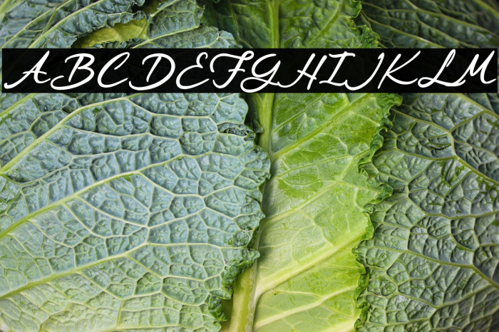 Certification from the Queen Example 1