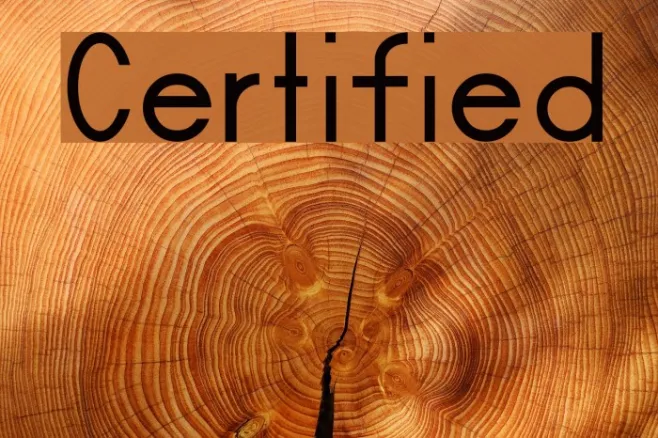 Certified Example 3