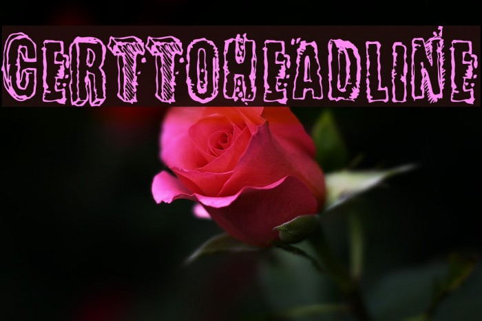 CerttoHeadline Font examples