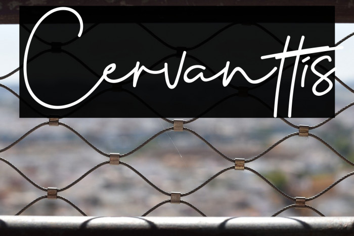 Cervanttis Example 1