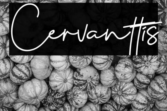 Cervanttis Font examples