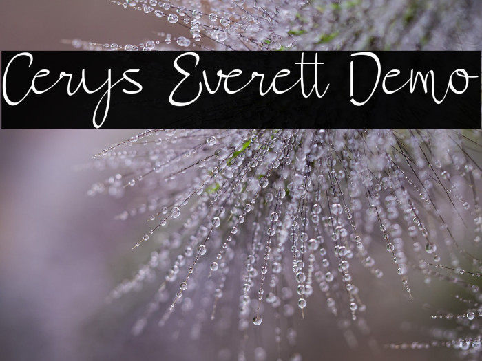 Cerys Everett Demo Example 1