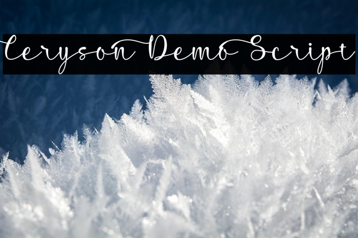 Ceryson Demo Script Example 1