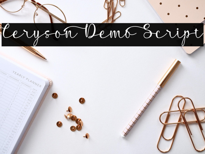 Ceryson Demo Script Example 2