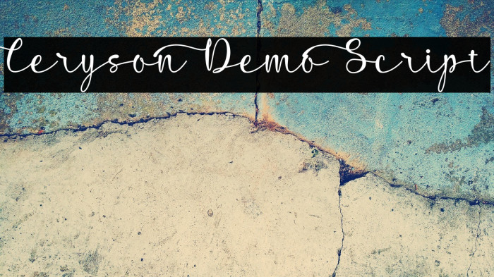 Ceryson Demo Script Example 3