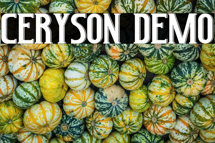 Ceryson Demo Example 3