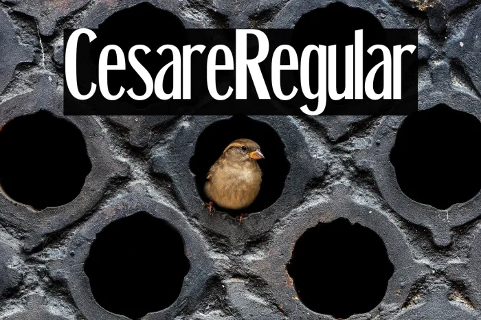 Cesare Regular Example 3