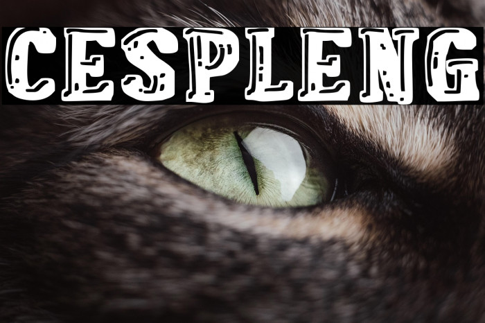 Cespleng Example 3