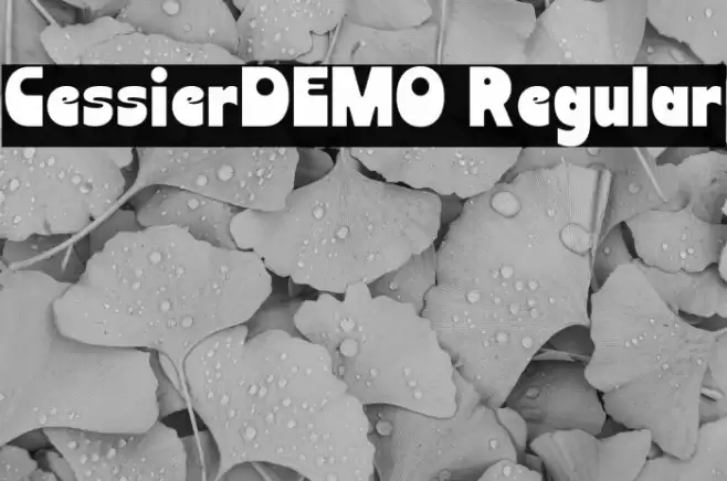 CessierDEMO Regular خط examples