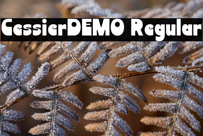 CessierDEMO Regular Example 3