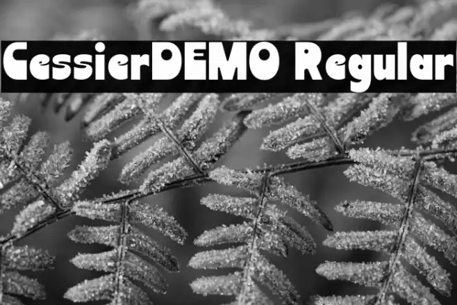 CessierDEMO Regular خط examples