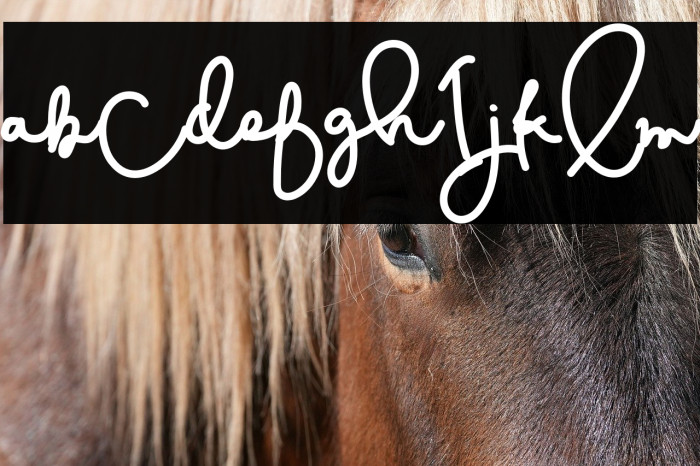 CestLaIsabelly Example 2