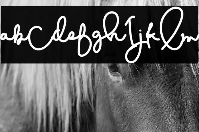 CestLaIsabelly Font examples