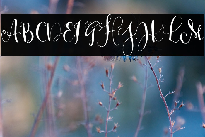 CestLaIsabellyAlt Example 3