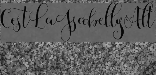 CestLaIsabellyAlt Font examples