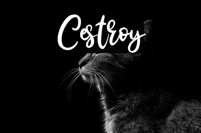Cestroy Example 1