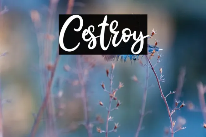 Cestroy Example 2