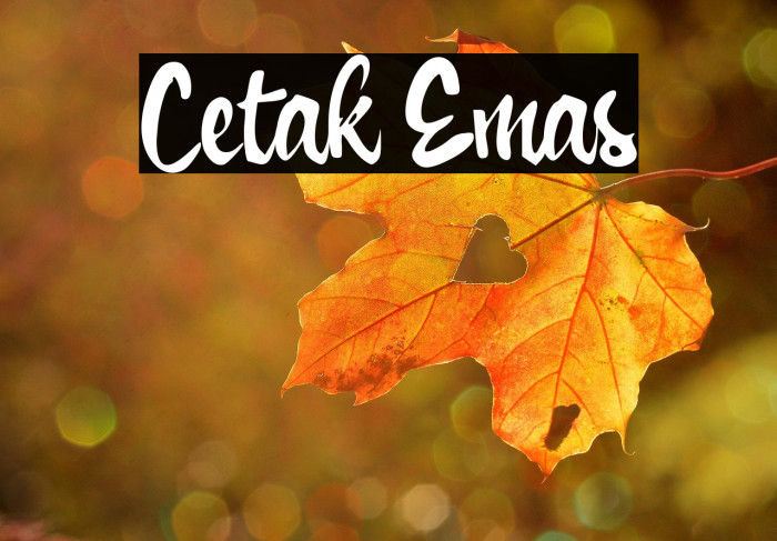 Cetak Emas Example 3