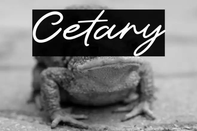 Cetary Font examples
