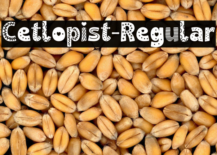 Cetlopist-Regular Example 2