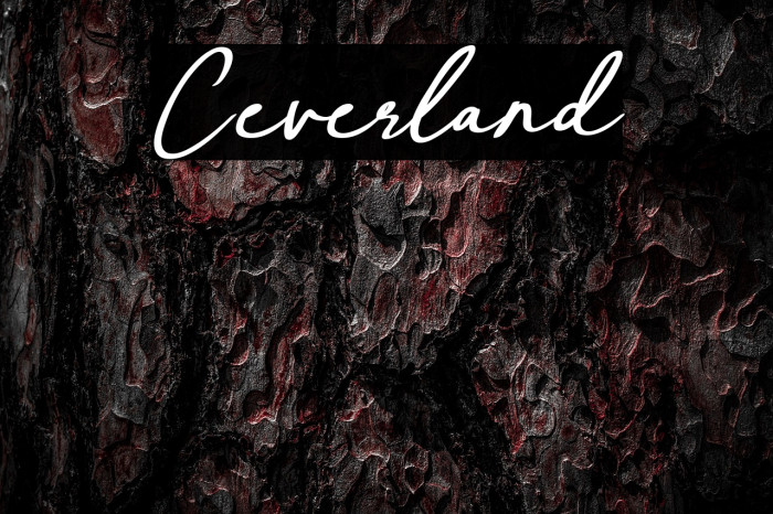 Ceverland Example 1