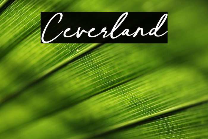 Ceverland Example 2